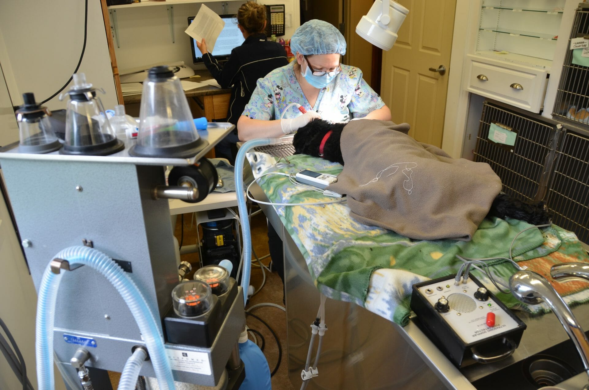 Clinic Tour Clinique vétérinaire Cowansville